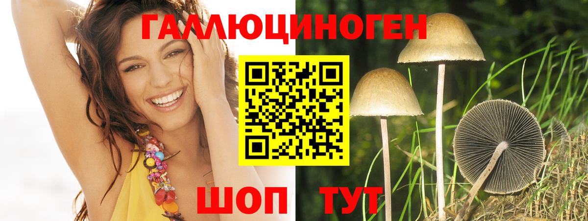 хочу   Вход с VPN  Псилоцибиновые грибы Psilocybine cubensis  Урус-Мартан  Галлюциногенные грибы GOLDEN TEACHER 