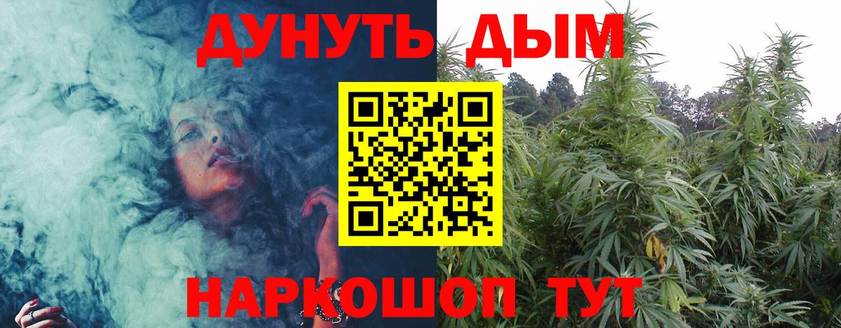 Марихуана AK-47  Бошки Шишки тримм  Вход с VPN  Бошки марихуана Bruce Banner  Урус-Мартан 